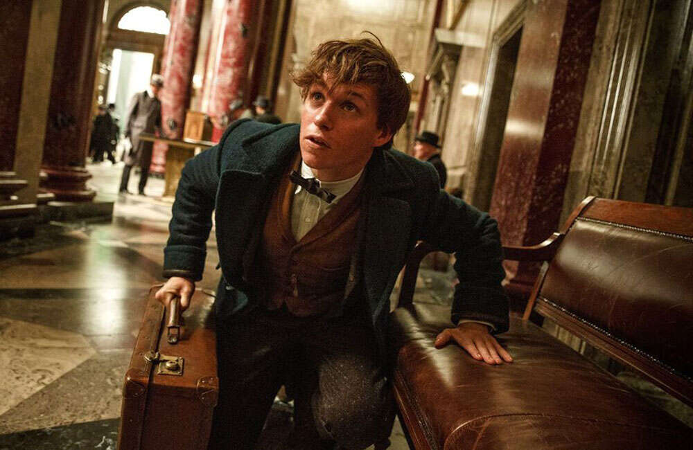 A still from Fantastic Beasts And Where To Find Them