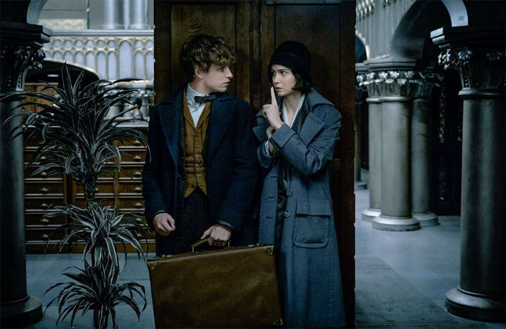 A still from Fantastic Beasts And Where To Find Them
