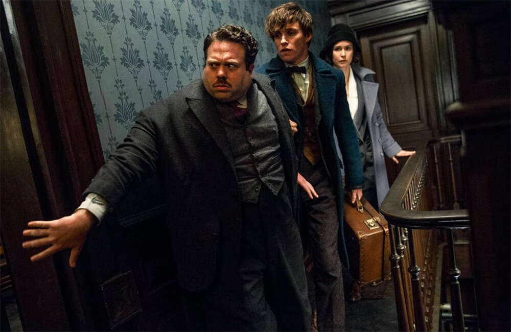 A still from Fantastic Beasts And Where To Find Them