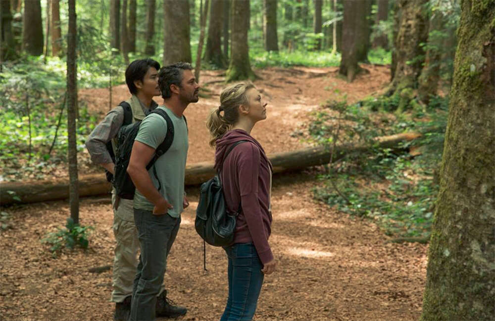 A still from The Forest