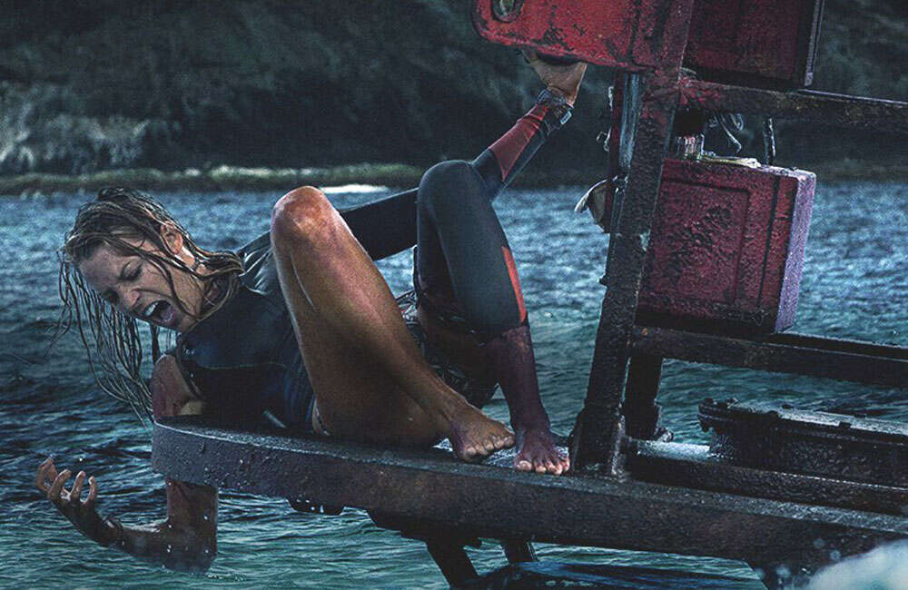 A still from The Shallows