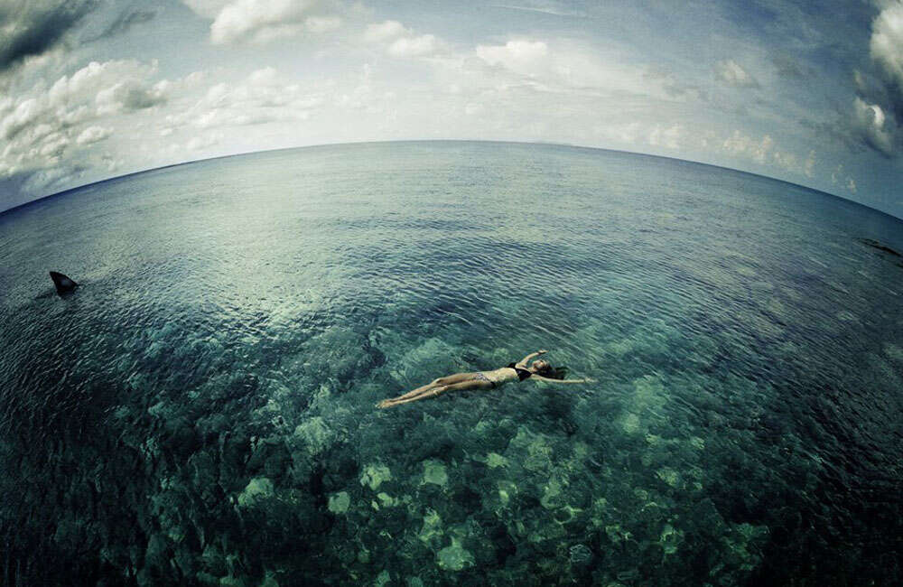 A still from The Shallows