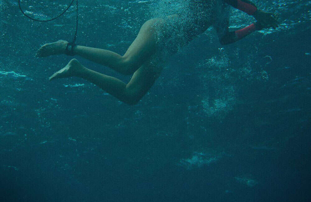A still from The Shallows