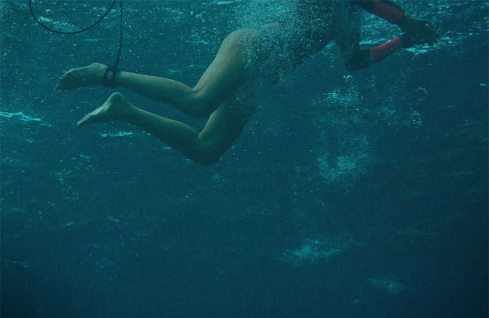 A still from The Shallows