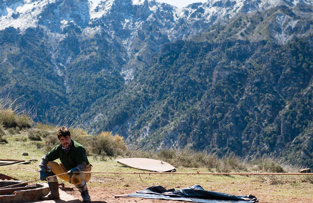 A still from A Perfect Day