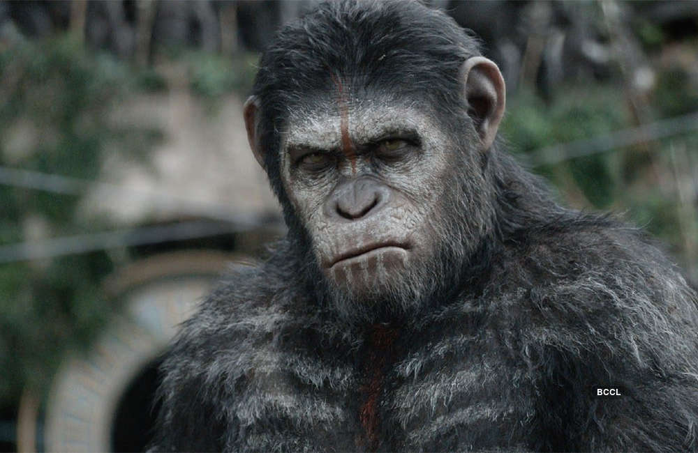 A still from War For The Planet Of The Apes