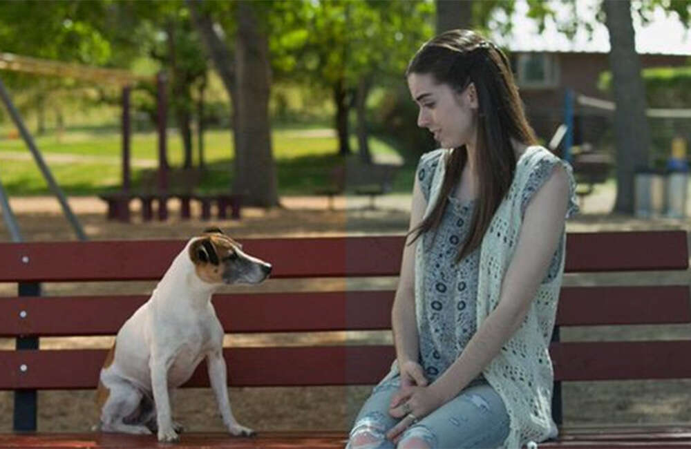 A still from Archie