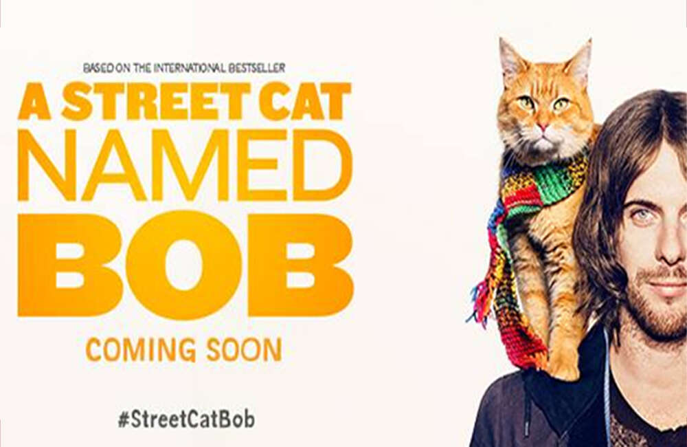 A still from A Street Cat Named Bob