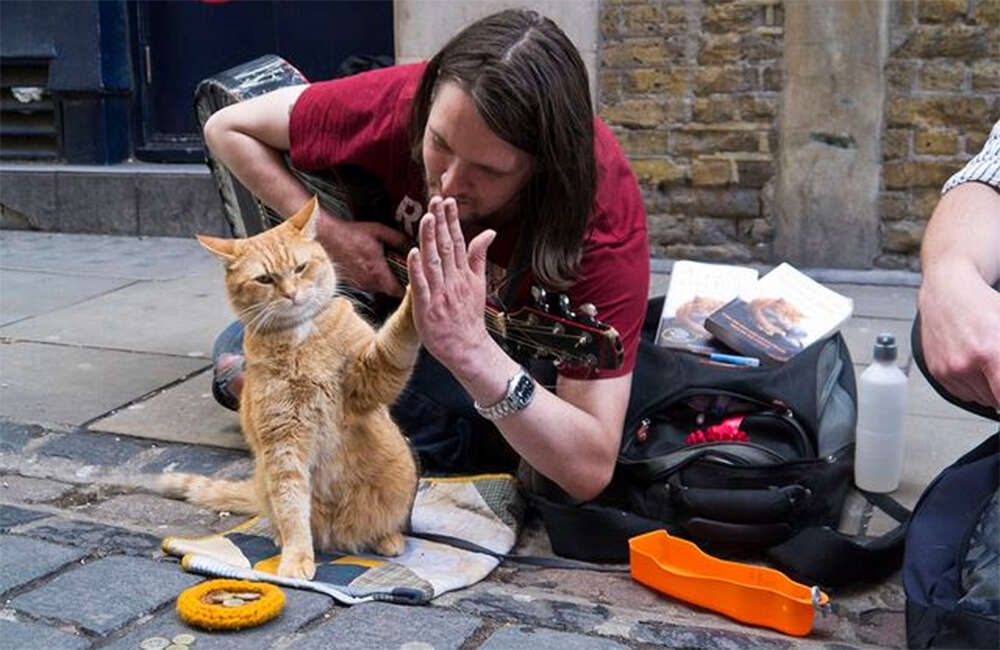 A still from A Street Cat Named Bob