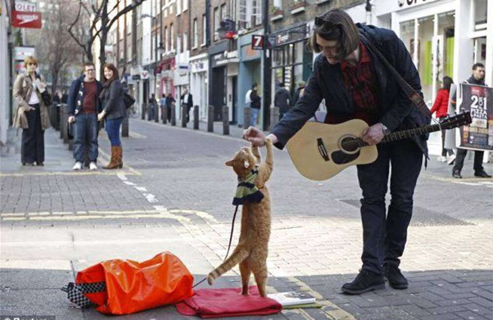 A still from A Street Cat Named Bob