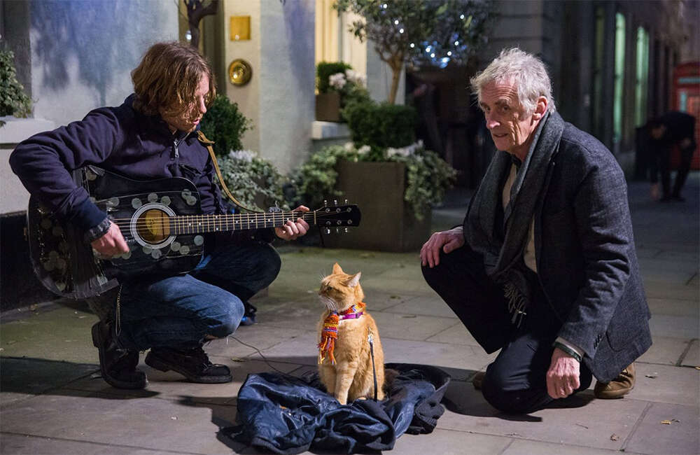 A still from A Street Cat Named Bob
