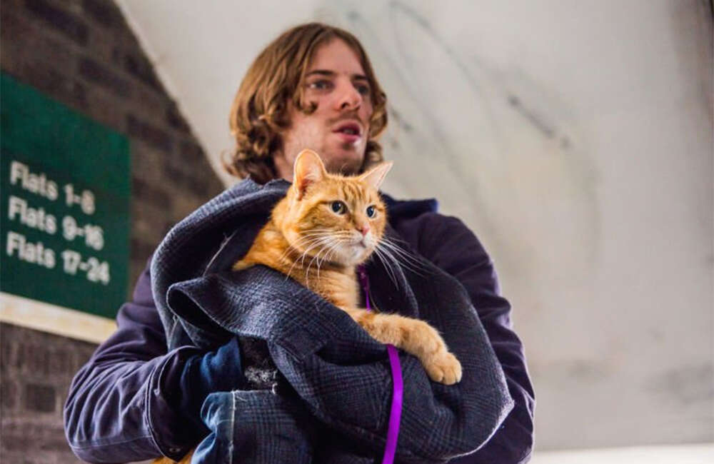 A still from A Street Cat Named Bob
