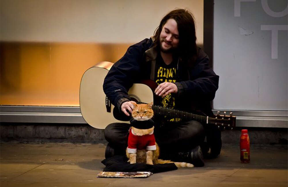 A still from A Street Cat Named Bob