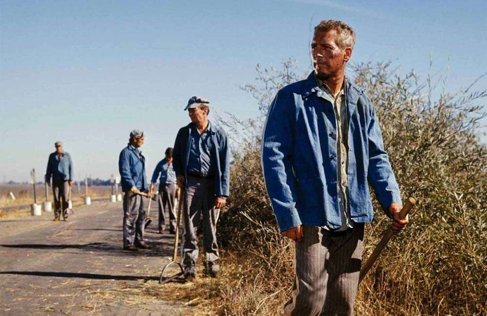 A still from Cool Hand Luke
