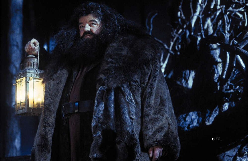 A still from Harry Potter And The Sorcerer's Stone