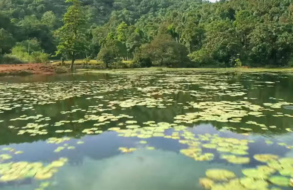 A still from Trigger