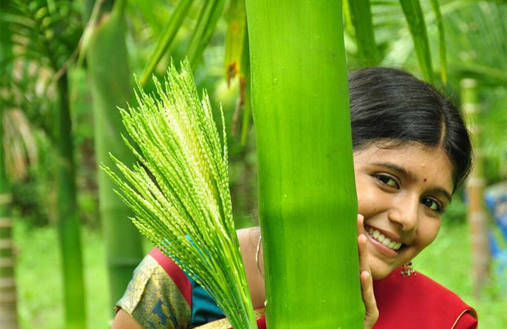 A still from Seetha Nadi
