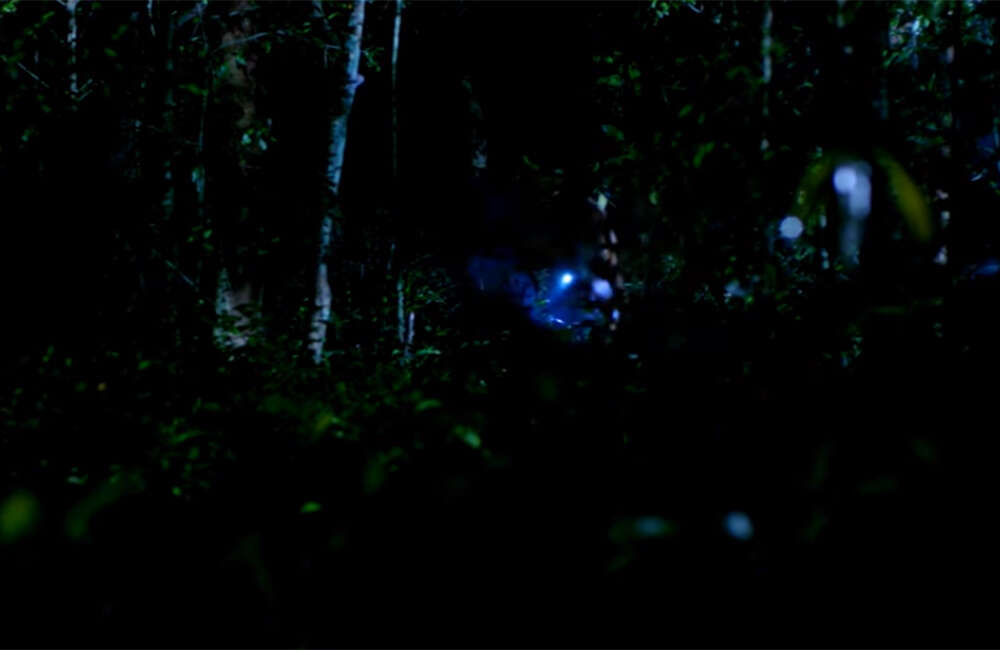 A still from Chitta Chanchala