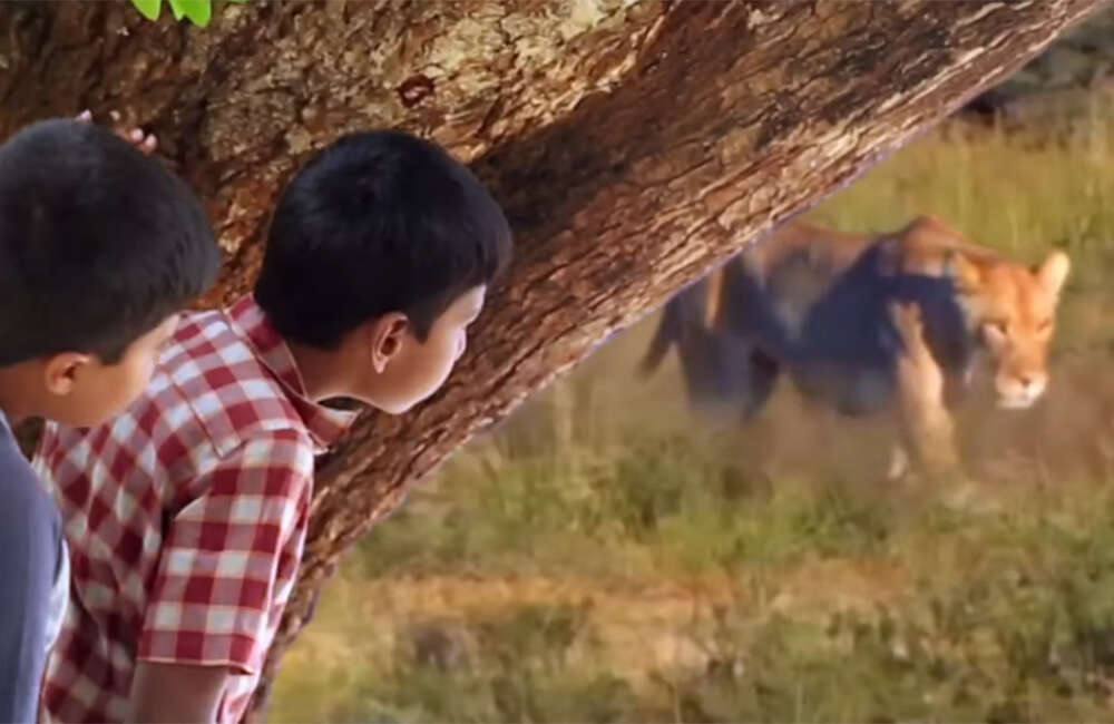 A still from Putani Safari