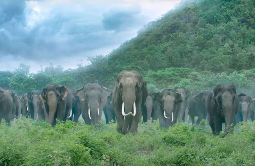 A still from Kadamban: Taqatwar