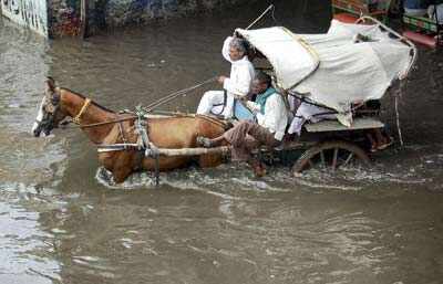 Best pictures of the day