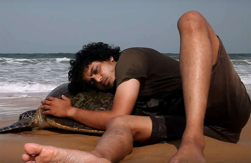 A still from Kaasav: Turtle