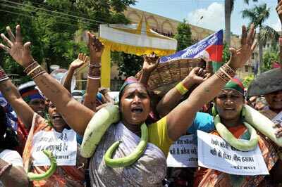 Best pictures of the day