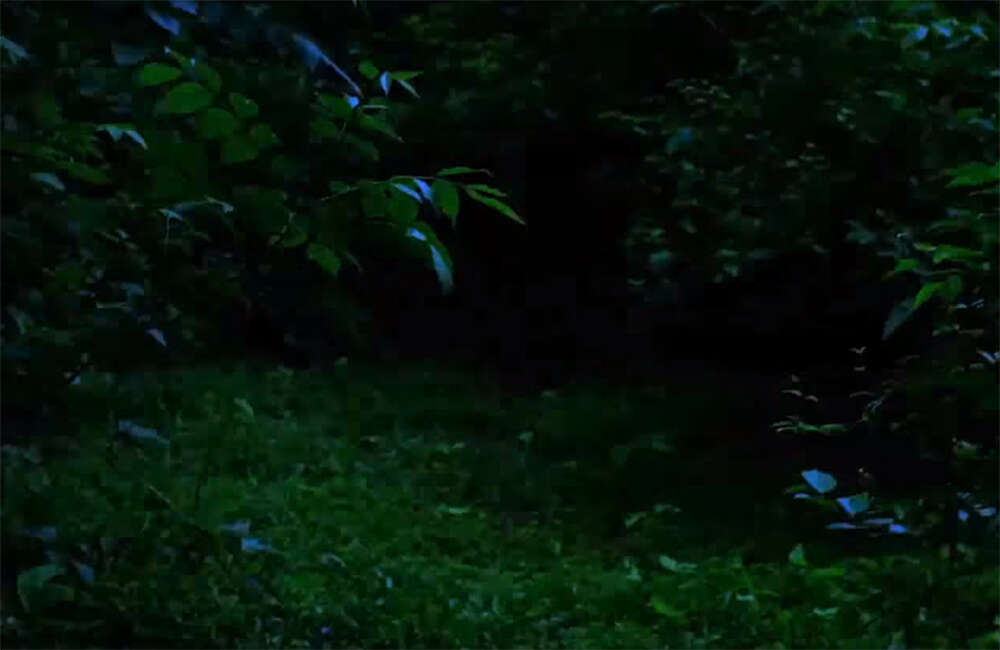 A still from Aasuchabhu