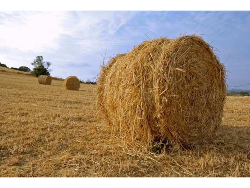 How many ways can you think of to find a needle in a haystack?