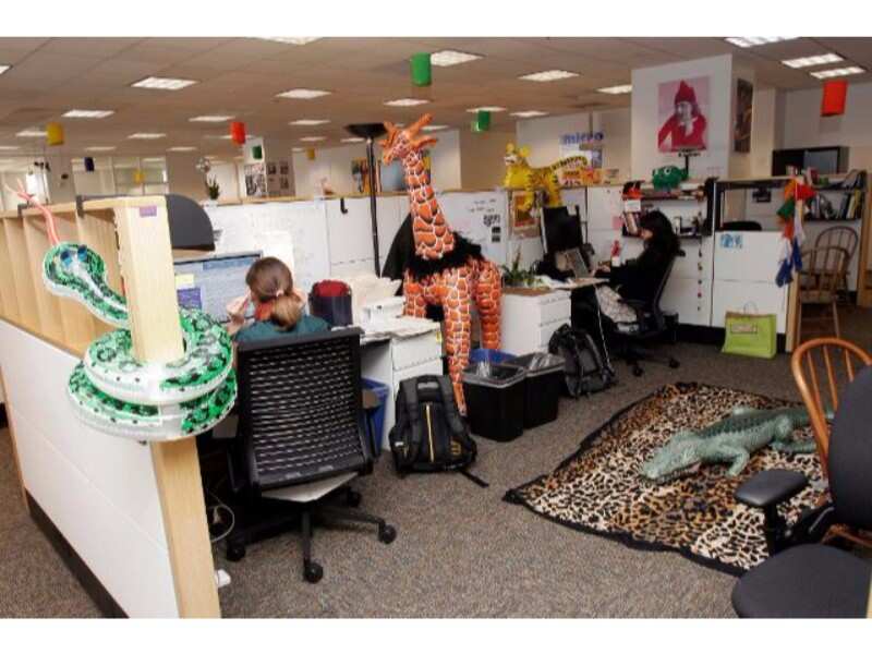 Name a prank you would pull on x manager if you were hired.