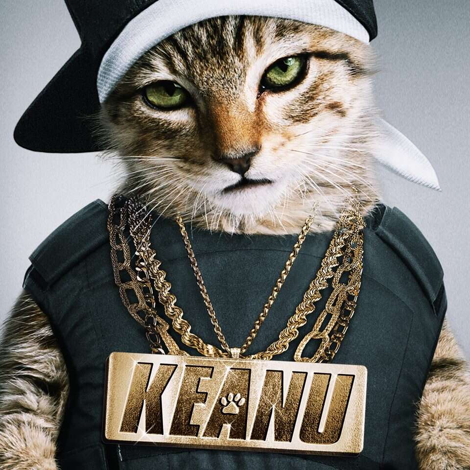 A still from Keanu