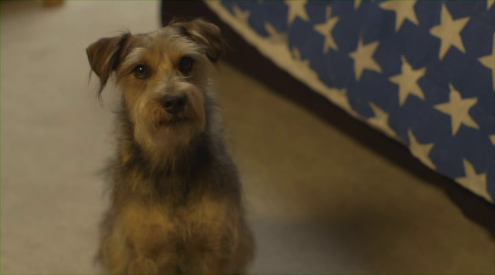 A still from Robo - Dog