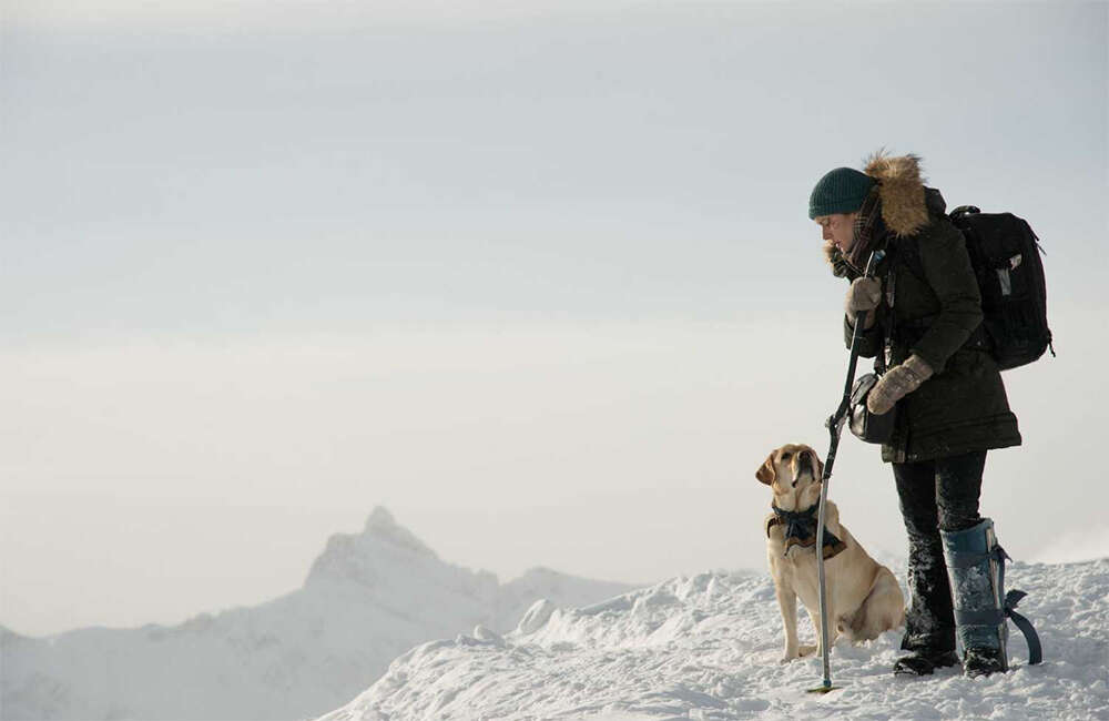 A still from The Mountain Between Us