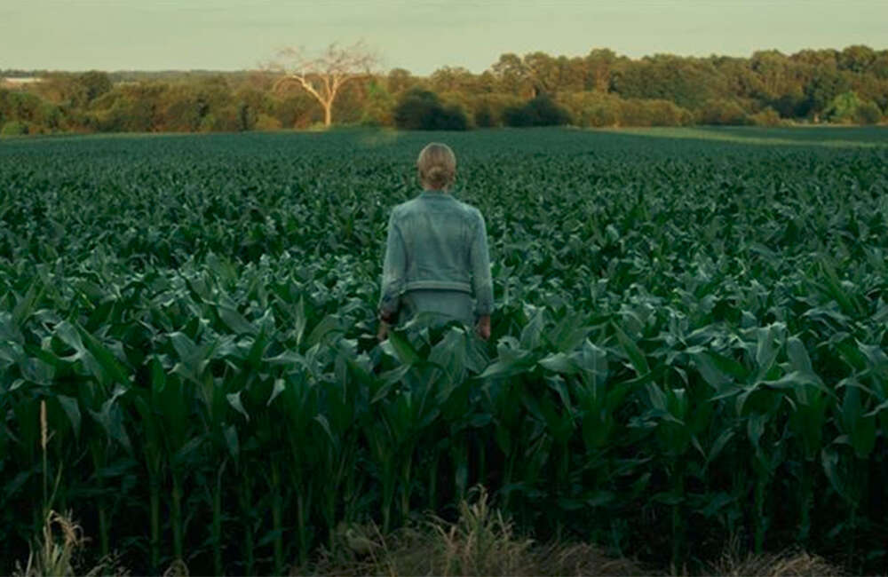 A still from Lavender