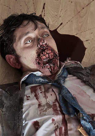 A still from Virus Of The Dead