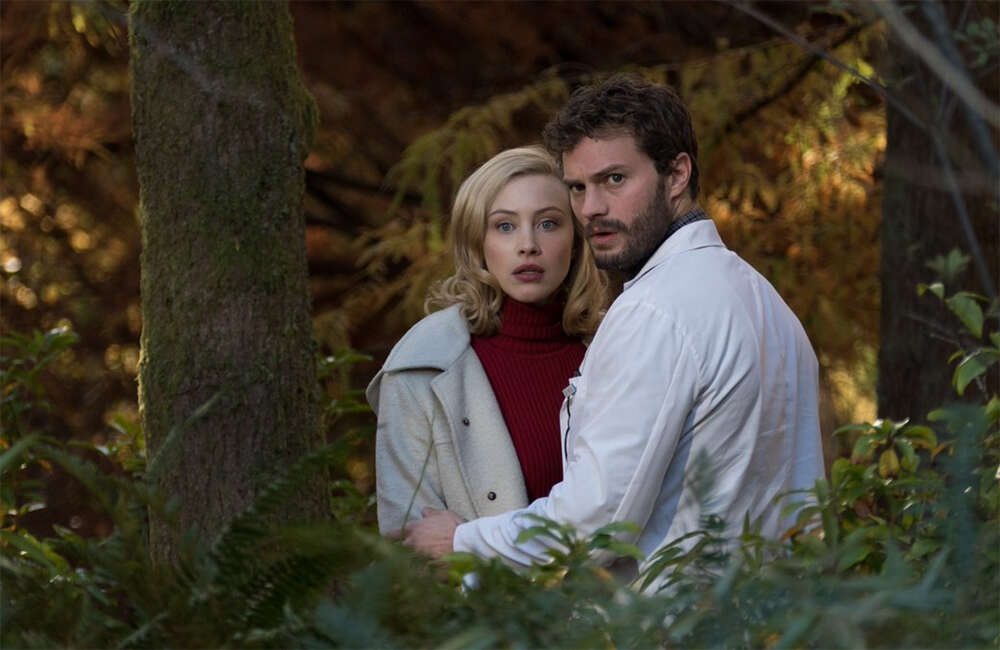 A still from The 9th Life Of Louis Drax
