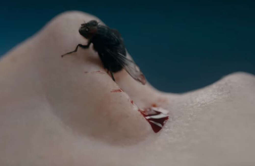 A still from The Autopsy Of Jane Doe