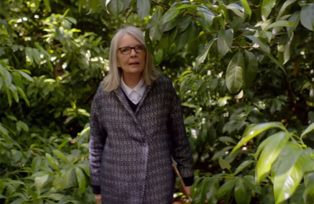 A still from Hampstead