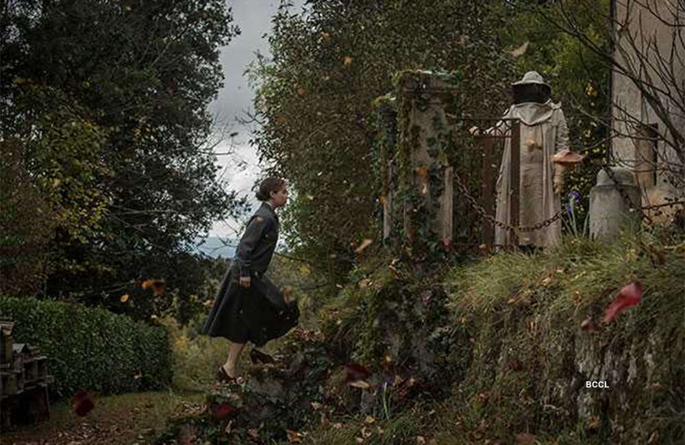 A still from Voice From The Stone
