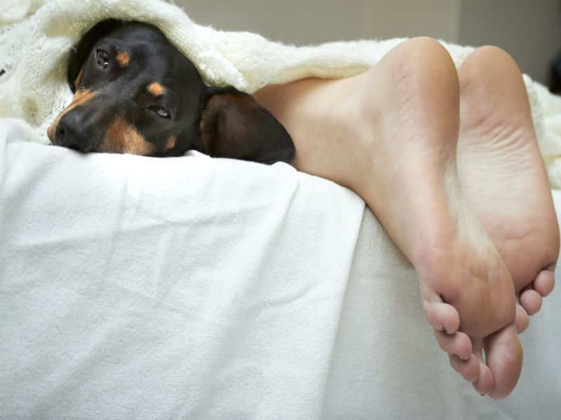 is sleeping with your dog bad for you