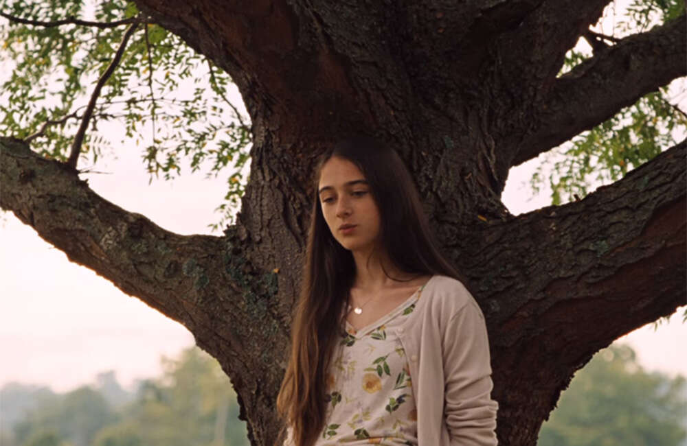A still from The Killing Of A Sacred Deer