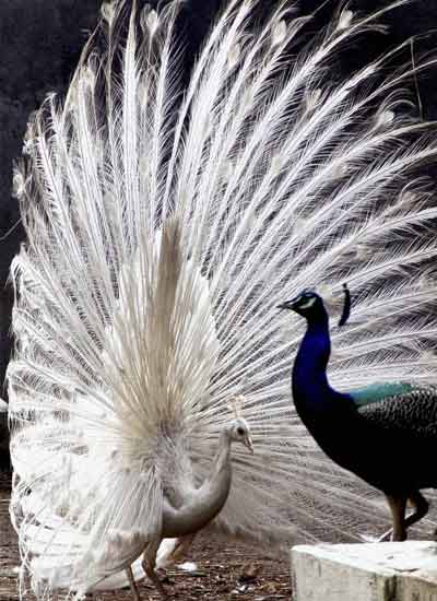 Best pictures of the day