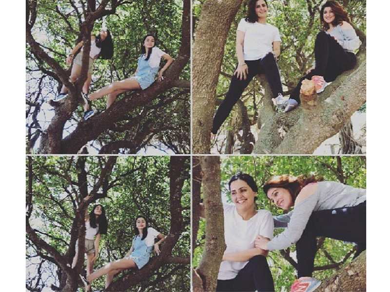 Pic: Twinkle Khanna takes to some tree climbing in Capetown