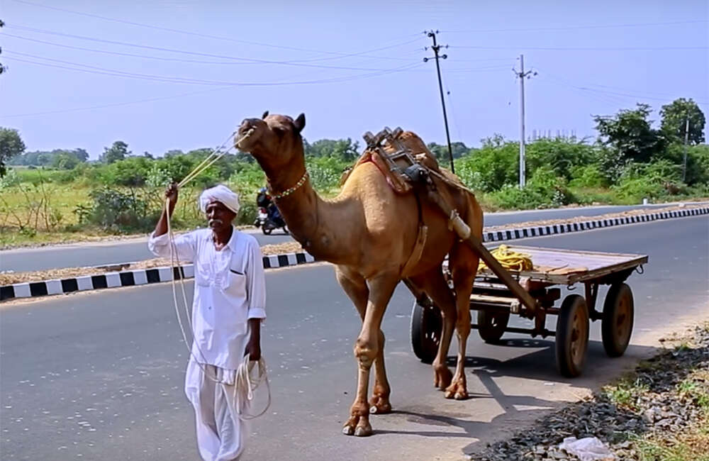 India4