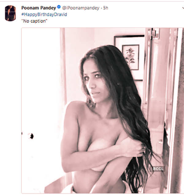 Poonam Pandey teases fans with a bold selfie