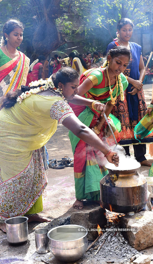 College students celebrating Pongal at their college premises in ...
