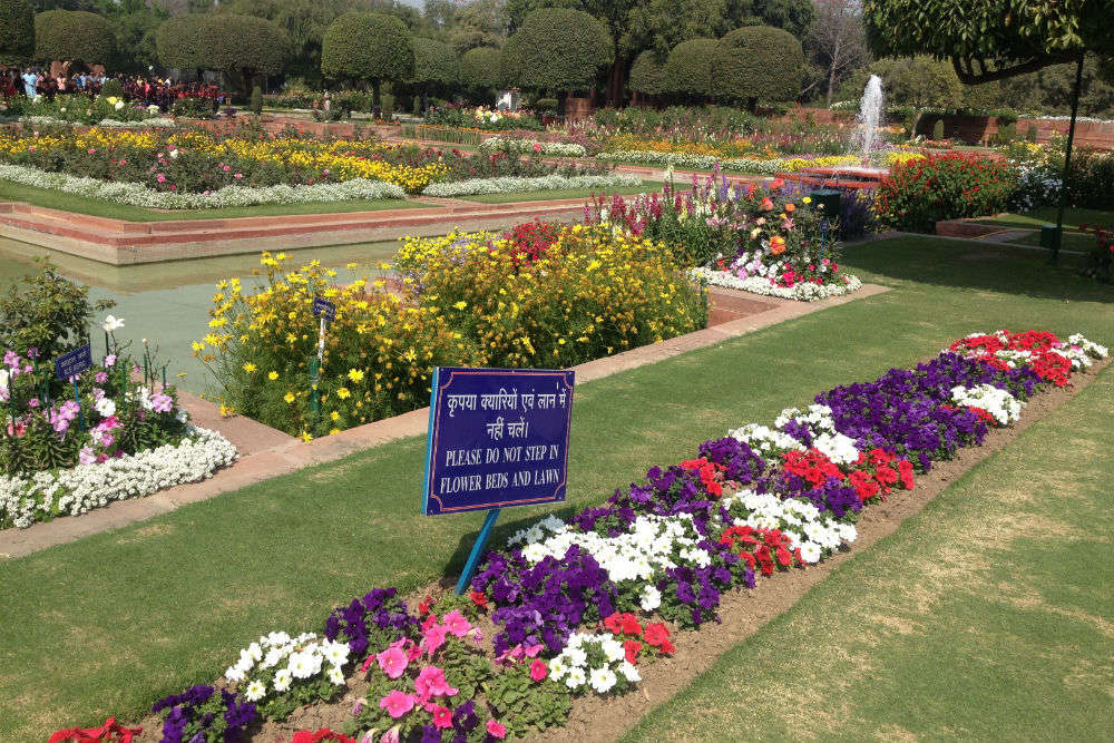 Udyanotsav 2018 To Be Held In Mughal Gardens Of Rashtrapati Bhavan