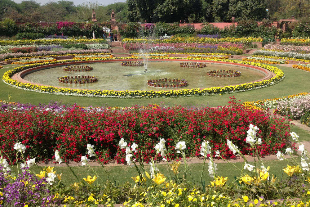 Image result for mughal gardens