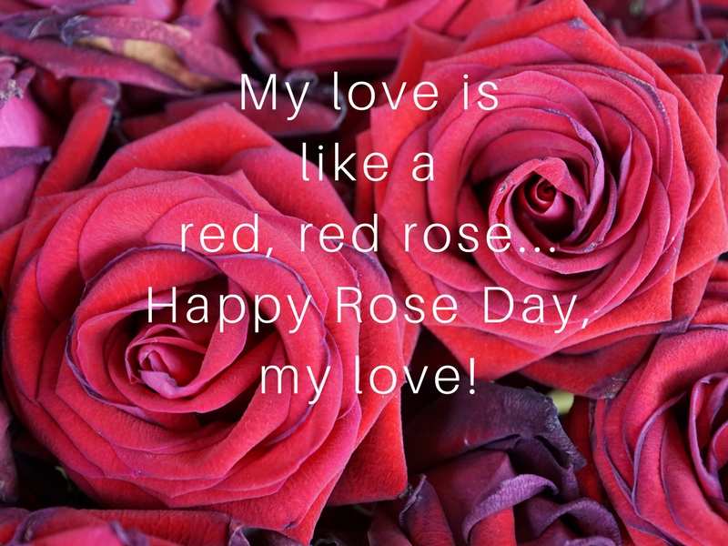 Happy Rose Day 2018 Wishes Love Quotes Smses Whatsapp Status