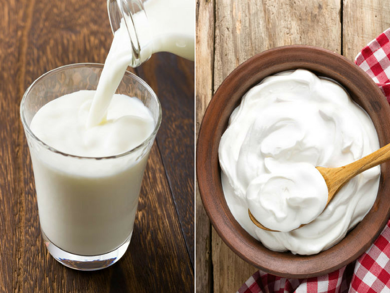 Which is better for weight loss: Curd or milk? | The Times of India